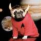 Illustration for article titled Star Trek Creator's Widow Left $4 Million To Her Dogs